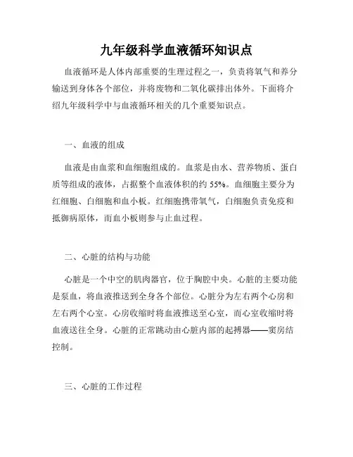九年级科学血液循环知识点