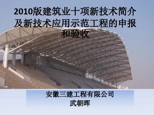 2010版建筑业十项新技术1