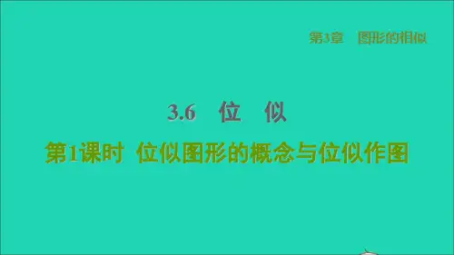 2021秋九上3、6位似1位似图形的概念与位似作图习题湘教版