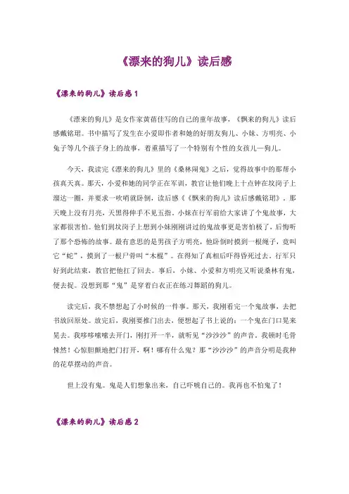 《漂来的狗儿》读后感