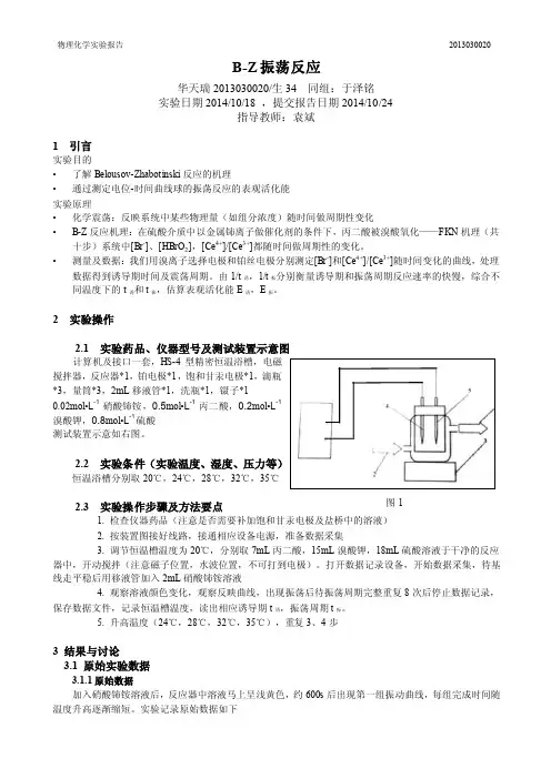 BZ振荡反应实验报告