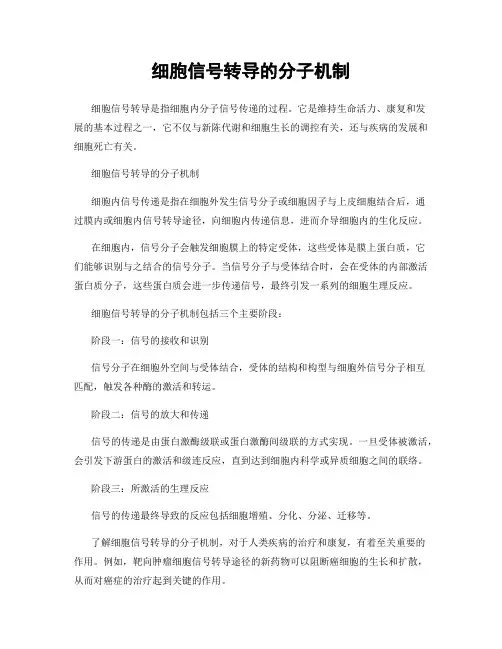 细胞信号转导的分子机制