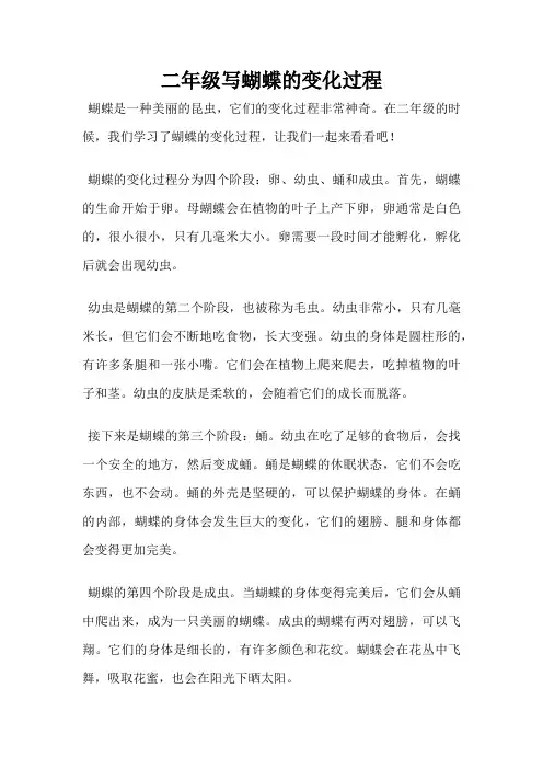 二年级写蝴蝶的变化过程