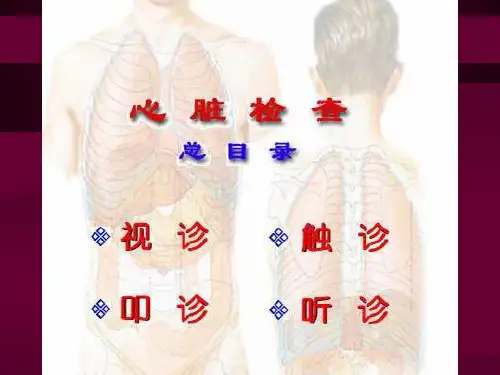 心脏检查视触叩