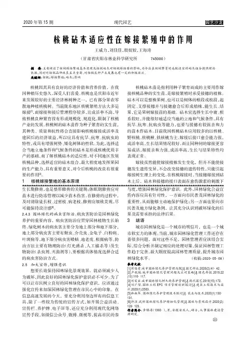 核桃砧木适应性在嫁接繁殖中的作用
