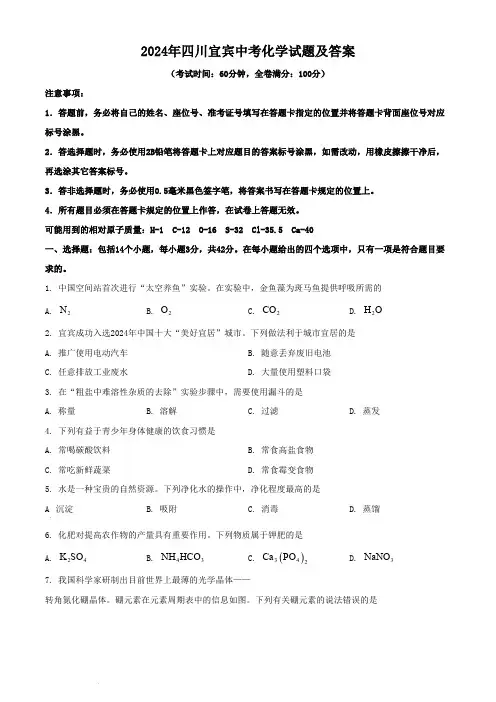 2024年四川宜宾中考化学试题及答案