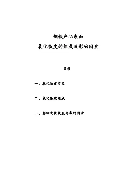 钢铁表面氧化物的组成及影响因素