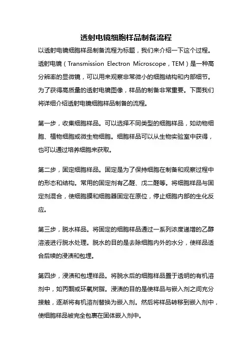 透射电镜细胞样品制备流程