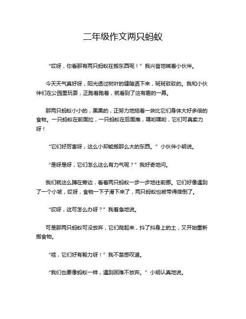 二年级作文两只蚂蚁