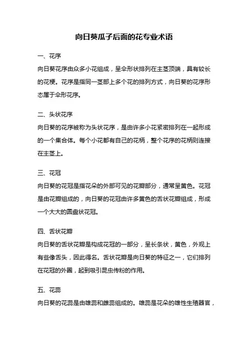 向日葵瓜子后面的花专业术语