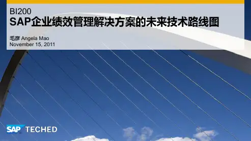 SAP企业绩效管理解决方案的未来技术路线图