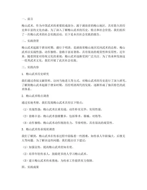 梅山武术社会实践报告