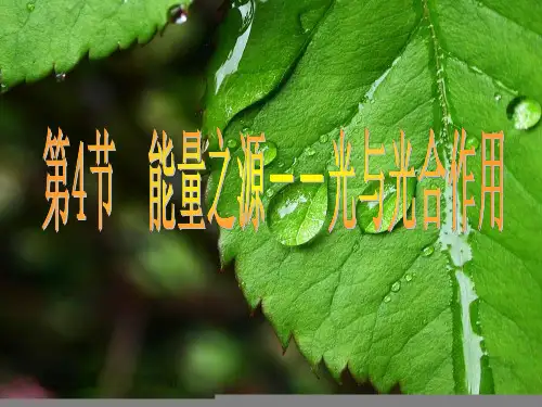 高中生物必修1《第4章细胞的能量代谢第2节能量的获得一细胞能量转换器——叶...》67北师大PPT课件