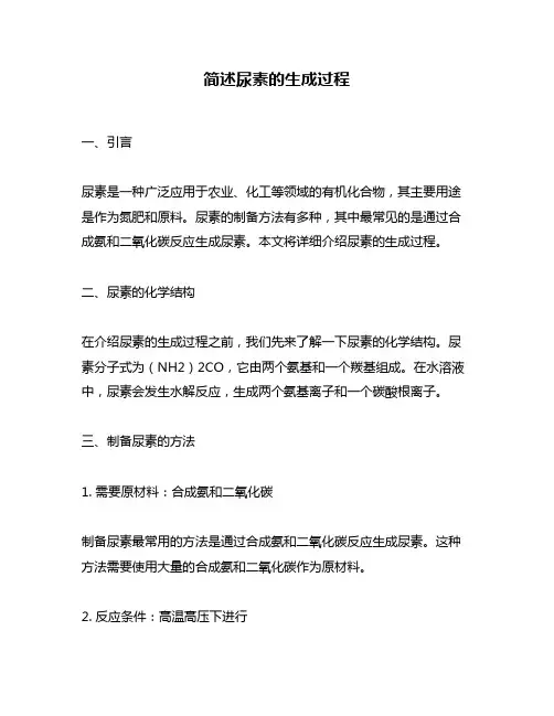 简述尿素的生成过程
