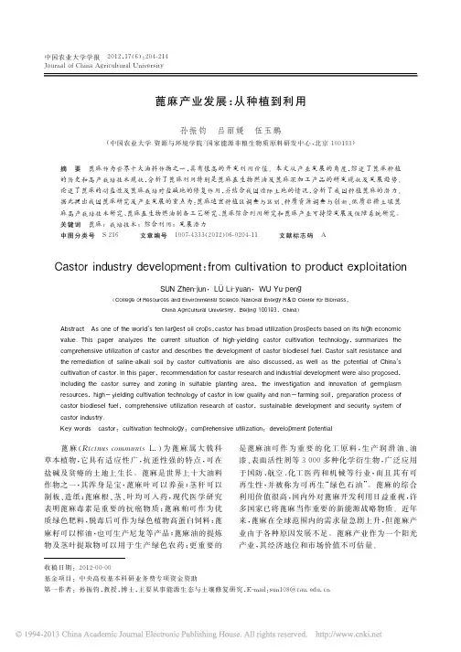 蓖麻产业发展_从种植到利用_孙振钧[1]