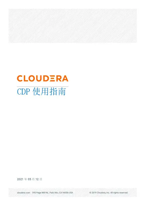 CDP 使用指南说明书