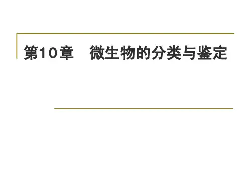 10 微生物的分类和鉴定