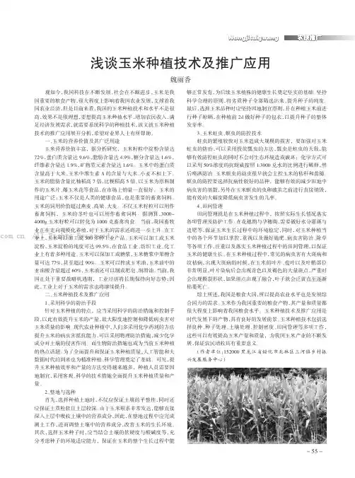 浅谈玉米种植技术及推广应用