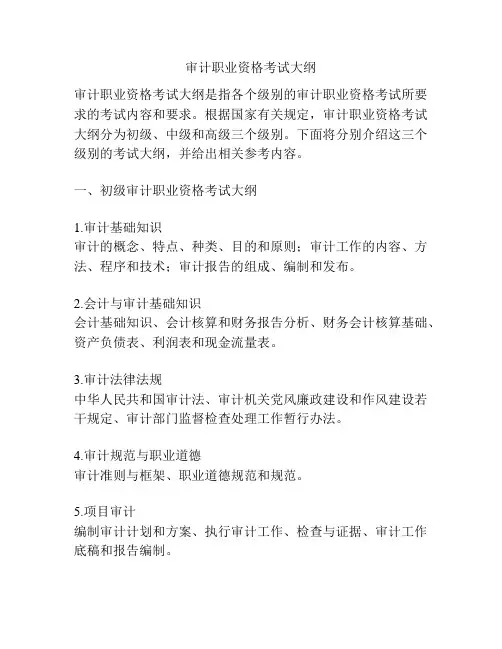 审计职业资格考试大纲