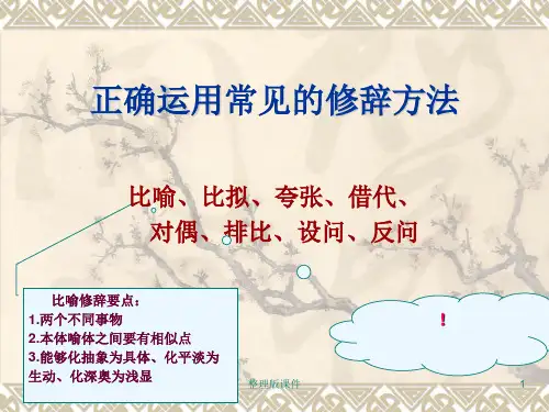 修辞手法完整ppt课件
