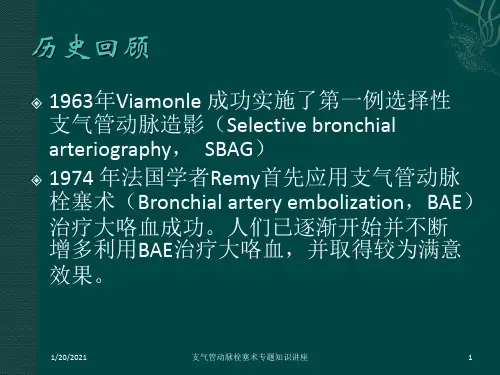 支气管动脉栓塞术专题知识讲座培训课件