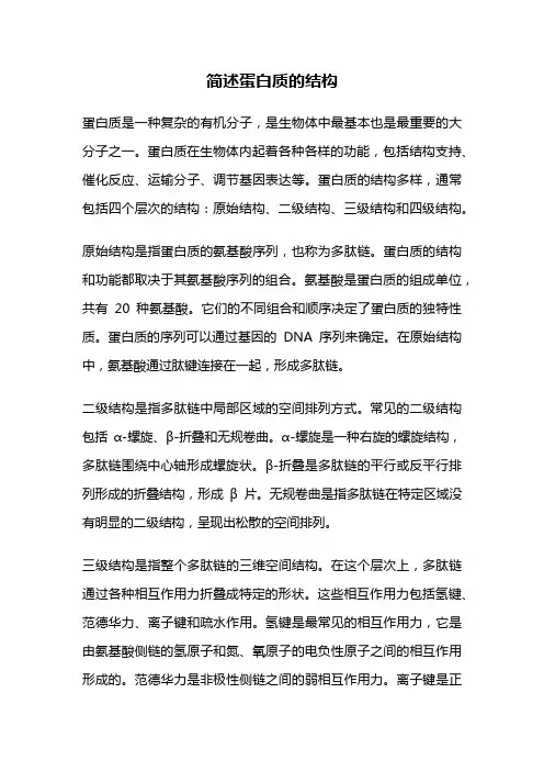 简述蛋白质的结构