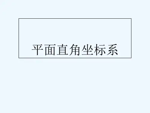 人教版平面直角坐标系(13)