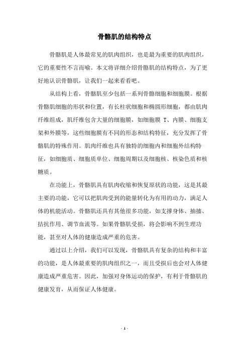 骨骼肌的结构特点
