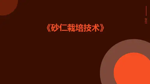 砂仁栽培技术