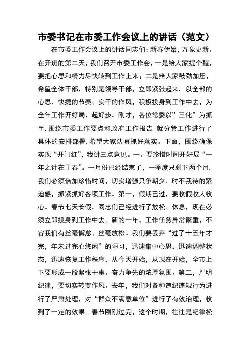 市委书记在市委工作会议上的讲话(范文)