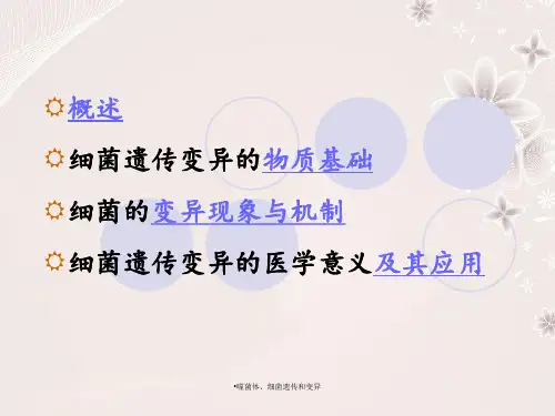 噬菌体细菌遗传和变异