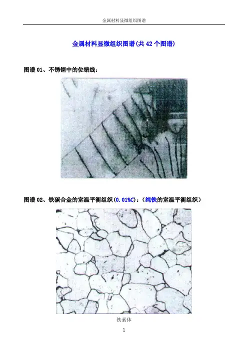 金属材料显微组织图谱