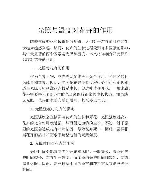 光照与温度对花卉的作用