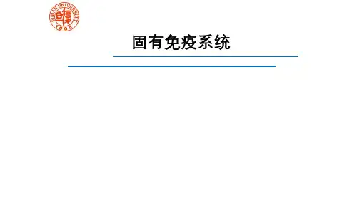 免疫学课件固有免疫细胞