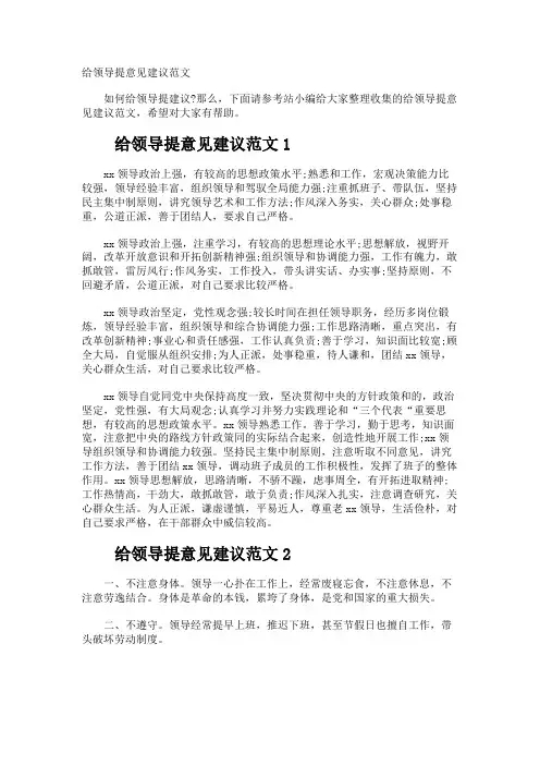 给领导提意见建议