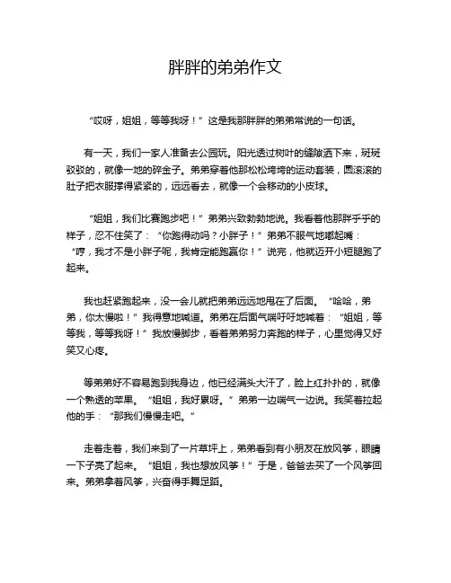 胖胖的弟弟作文