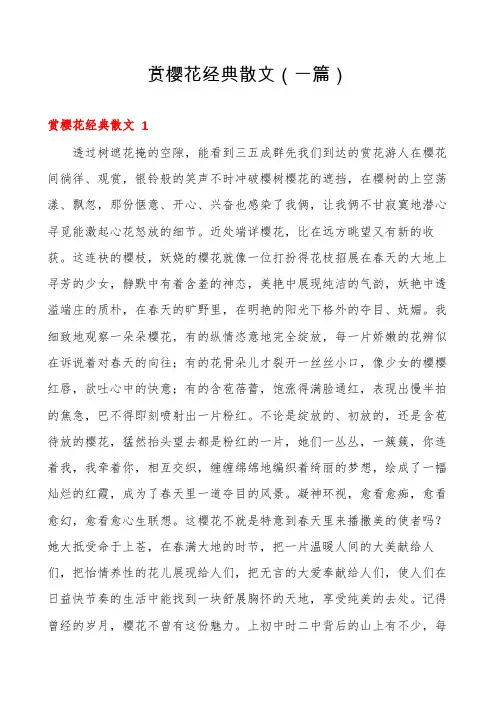 赏樱花经典散文(一篇)