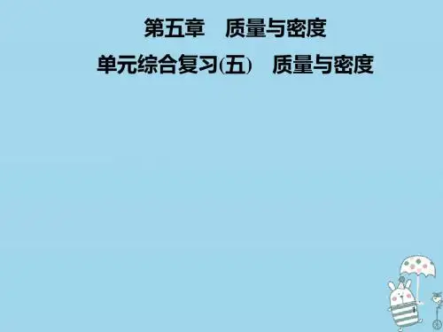 (新编)八年级物理全册第五章质量与密度单元综合复习讲义沪科版