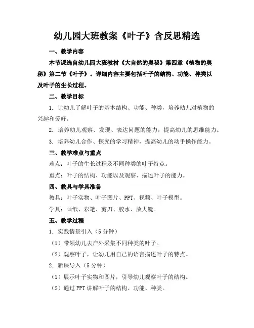 幼儿园大班教案《叶子》含反思精选