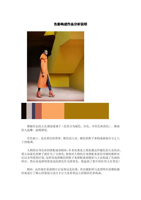 色彩构成作品分析说明