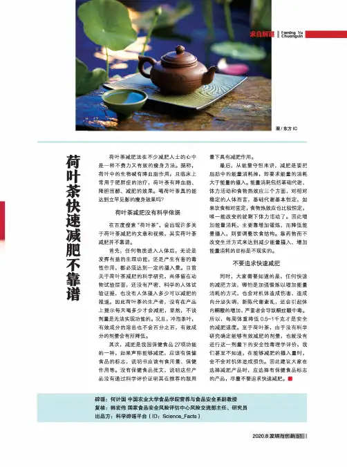 荷叶茶快速减肥不靠谱
