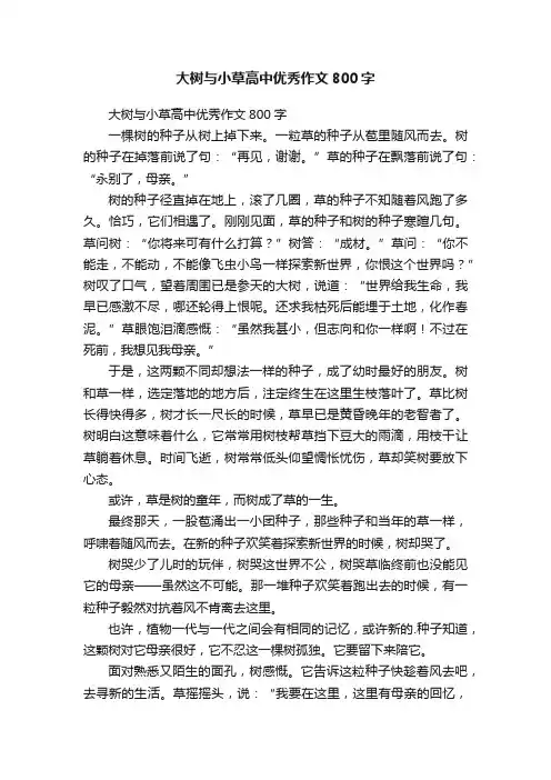 大树与小草高中优秀作文800字