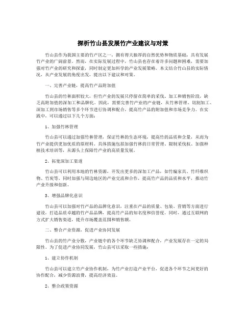 探析竹山县发展竹产业建议与对策