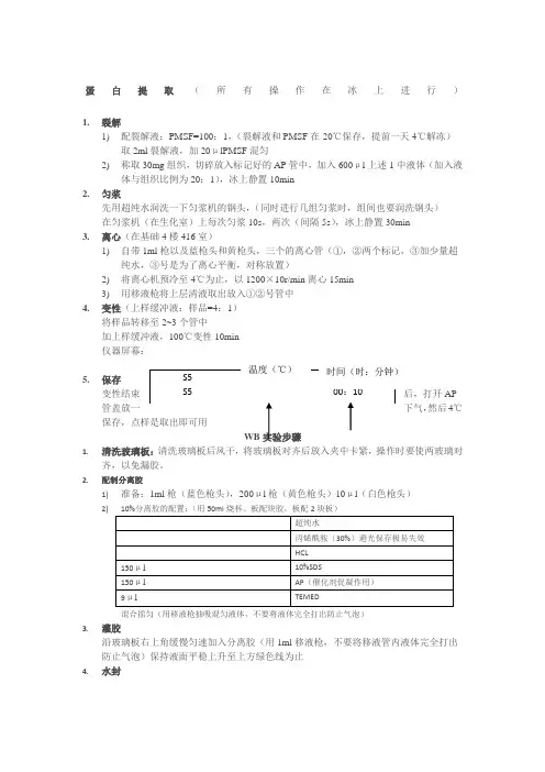 WB实验步骤详细总结