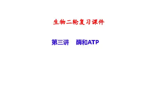 生物复习课件3 酶和ATP