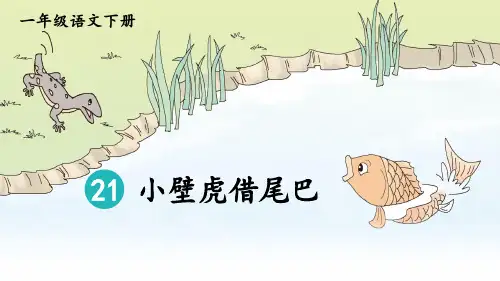部编版一年级语文下册第21课《小壁虎借尾巴》精美课件【最新】