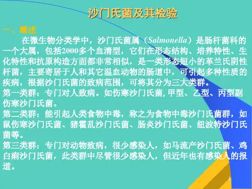微生物分类学之沙门氏菌检验(ppt 26页)