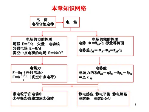 电场复习讲义优秀课件