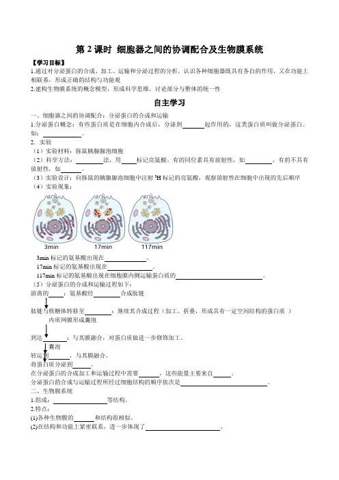 细胞器之间的分工合作(第二课时)(解析版)
