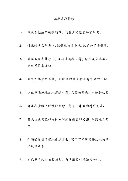 动物片段摘抄
